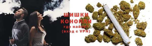 прущие грибы Богородск