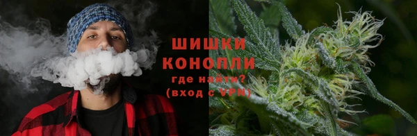 бошки Богородицк