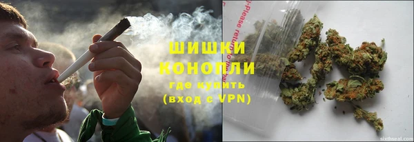 прущие грибы Богородск
