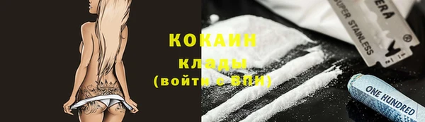прущие грибы Богородск