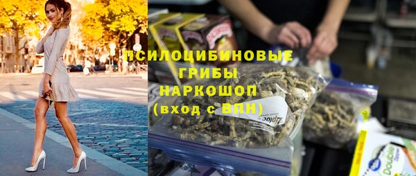 прущие грибы Богородск