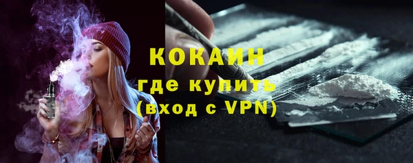 бошки Богородицк