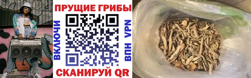 Купить где  Дорогобуж  Псилоцибиновые грибы MAGIC MUSHROOMS 