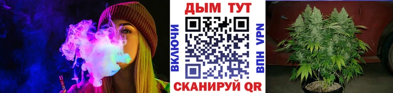 Каннабис тримм  Купить закладки  Дорогобуж 